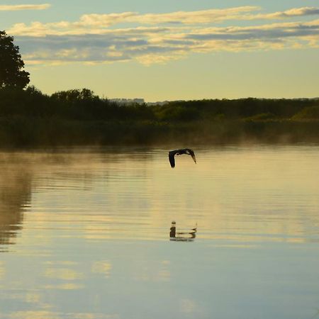 Domek Nad Odra Gryfino Eksteriør bilde